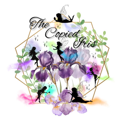 The Copied Iris Booth 3